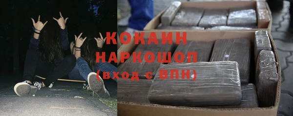 индика Беломорск
