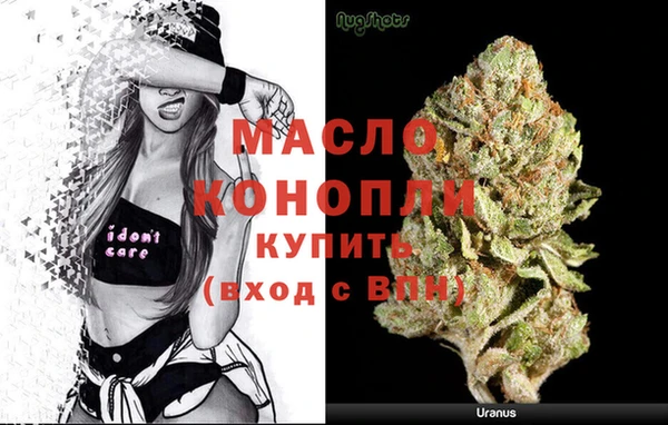 индика Беломорск