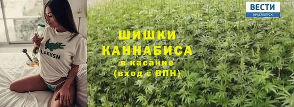 индика Беломорск
