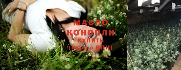 индика Беломорск