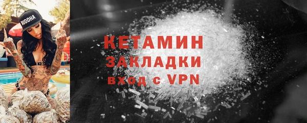 индика Беломорск