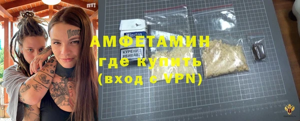 индика Беломорск