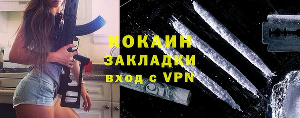 индика Беломорск