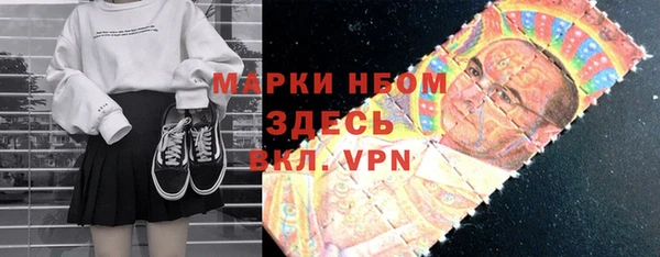 индика Беломорск