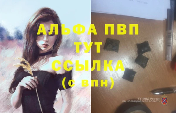 индика Беломорск