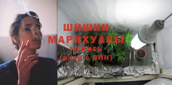 индика Беломорск