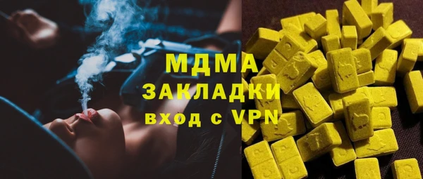 индика Беломорск